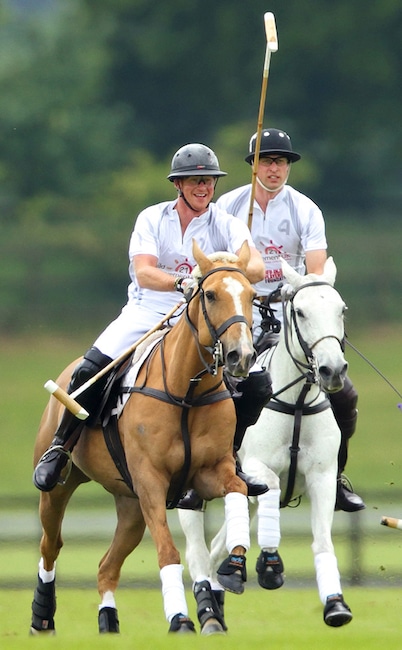 Prince Harry, Prince William